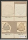 Triceratium harrisonianum Norm. et Grov. (de-Toni-Nr.: Genus 140, Species 3779) Zeichnungen Sammlung Grunow Nr. 7291 (NHMW-BOT-W0376314)